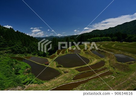 從上山梯田出發 90634616
