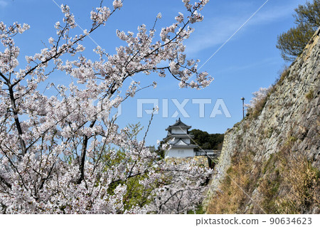 Akashi Park, Tatsumi Tower and Sakura Akashi Park, Tatsumi Tower and Sakura 90634623
