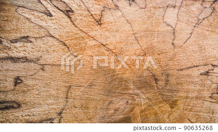 The texture of the stump in the cross section with veins 90635268