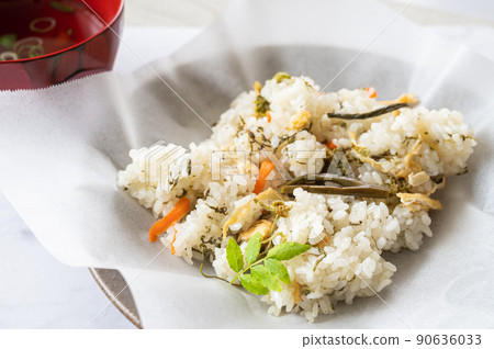 野生蔬菜貓頭鷹 90636033