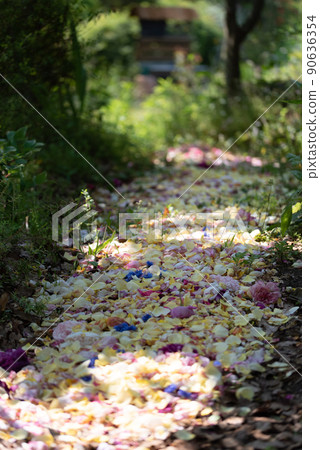玫瑰道花園道 玫瑰道花園道 90636354