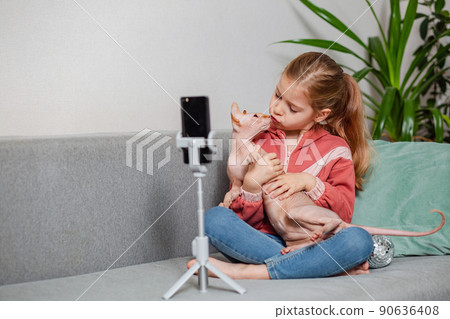 Small blonde blogger girl, an influential person, communicates with subscribers, conducts a live broadcast with a cat, looks at the smartphone screen at home. When taking a selfie, call your friends. 90636408