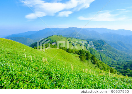 Shinshu Venus Line / Mt. Miho trekking (view of the mountaintop) Shinshu Venus Line / Mt. Miho trekking (view of the mountaintop) 90637960