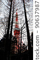 東京塔 樹 冬季 秋季 旅遊 Japan Nature Branch 90637987