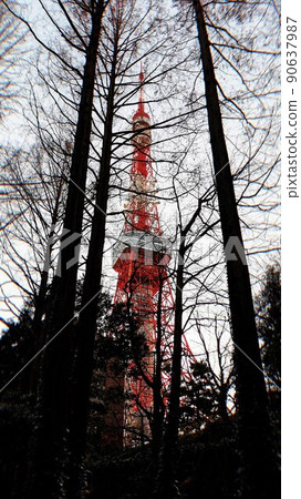 東京塔 樹 冬季 秋季 旅遊 Japan Nature Branch 東京塔 樹 冬季 秋季 旅遊 Japan Nature Branch 90637987