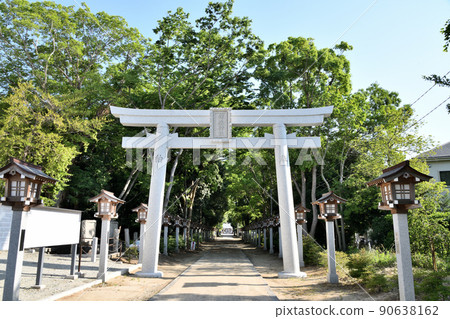 Nishikiori Shrine (Torii / Sando) [Tondabayashi City, Osaka Prefecture] 90638162