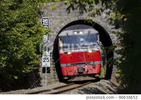 A freight train passing through the Ikedaen tunnel on the Hakodate main line 90638652