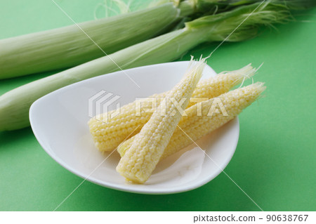 年輕的玉米 年輕的玉米 90638767