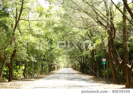 Green tunnel 90639599