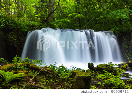 [青森縣_奧入瀨川]初夏的銫子瀑布 90639711