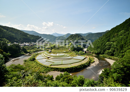 100選日本梯田“新島”【和歌山縣有田郡有田川町】 90639829