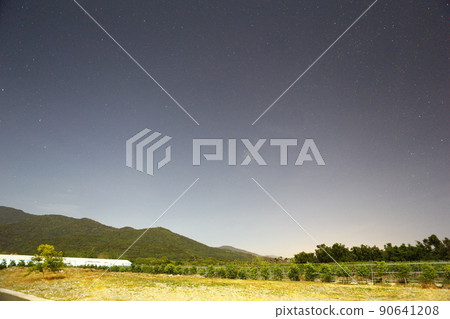 星空 90641208