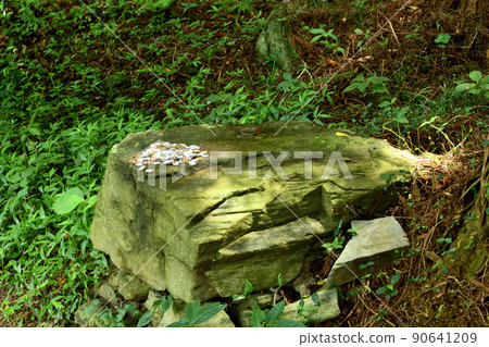 高野山町石路 高野山町石路 90641209