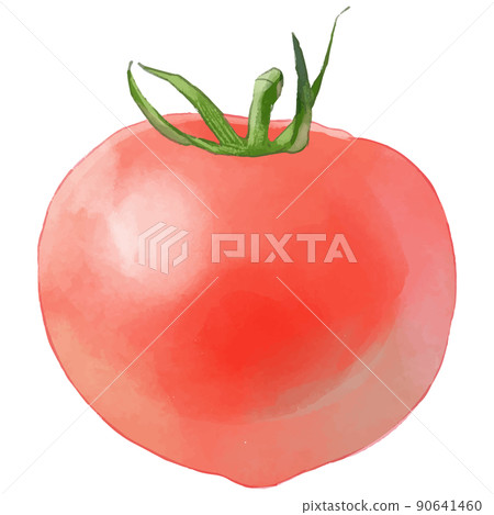蕃茄 蕃茄 90641460