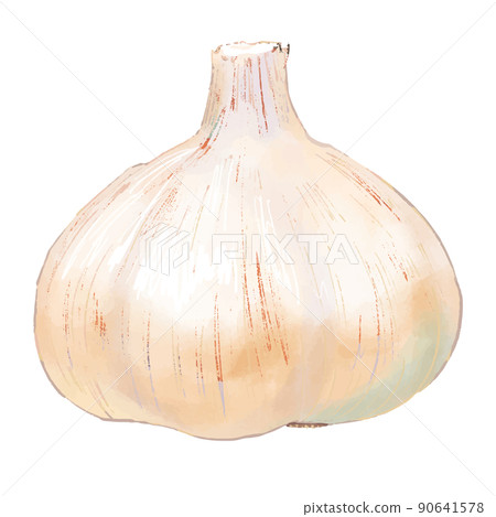 大蒜 大蒜 90641578