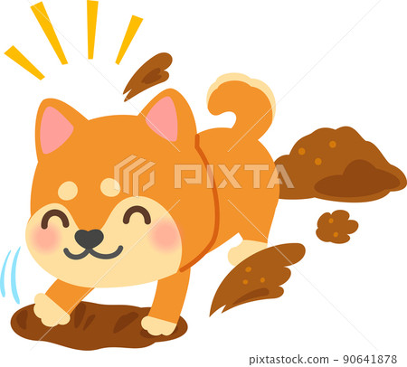 Shiba inu digging a hole 90641878