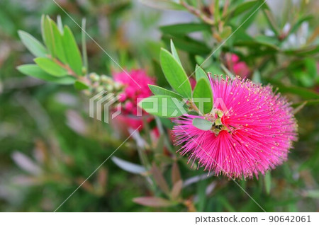 Brushonkey洗瓶刷 90642061