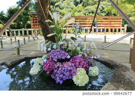 灶門神社的繡球花手水 灶門神社的繡球花手水 90642677