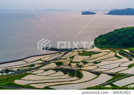 土屋梯田日落後[長崎縣松浦市] 90642802