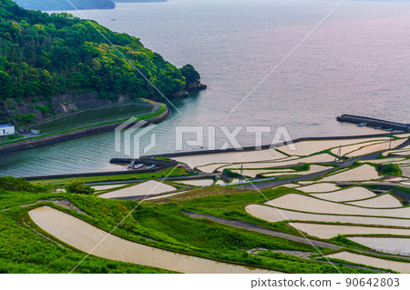 After sunset in Doya Rice Terraces [Matsuura City, Nagasaki Prefecture] 90642803