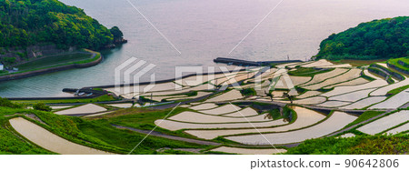 After sunset of Doya Rice Terraces Panorama [Matsuura City, Nagasaki Prefecture] 90642806