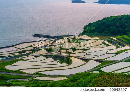 After sunset in Doya Rice Terraces [Matsuura City, Nagasaki Prefecture] 90642807