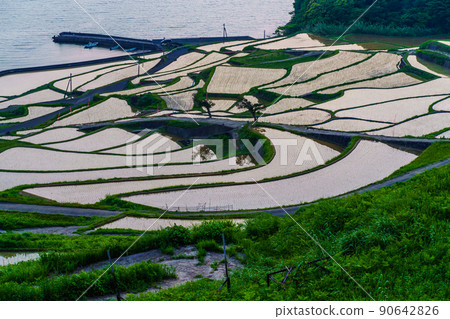 After sunset in Doya Rice Terraces [Matsuura City, Nagasaki Prefecture] 90642826
