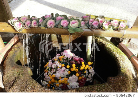 彥山神宮花手水 彥山神宮花手水 90642867