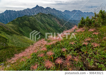 西釜根金五角和長矛 / 穗高山脈景觀 西釜根金五角和長矛 / 穗高山脈景觀 90643021