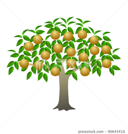 Fruited pear tree Fruited pear tree 90643418
