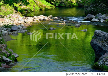 新鮮的綠色盆地山谷 90643781