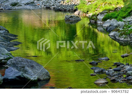 新鮮的綠色盆地山谷 90643782