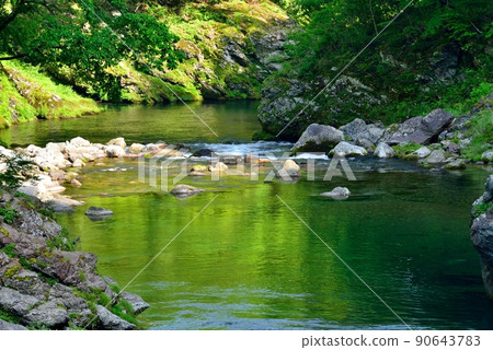 新鮮的綠色盆地山谷 90643783