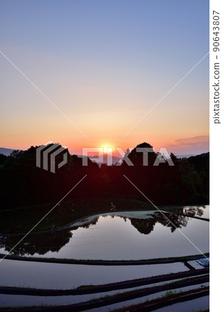 明日香水稻梯田 明日香水稻梯田 90643807
