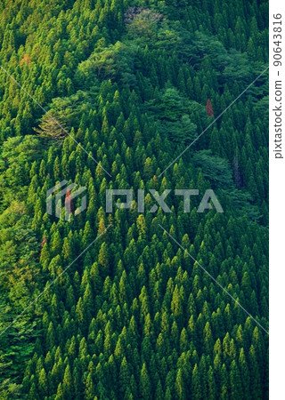 Fresh green namego valley 90643816