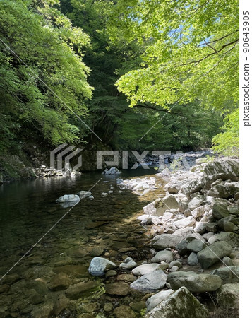 Beautiful river flow Beautiful river flow 90643905