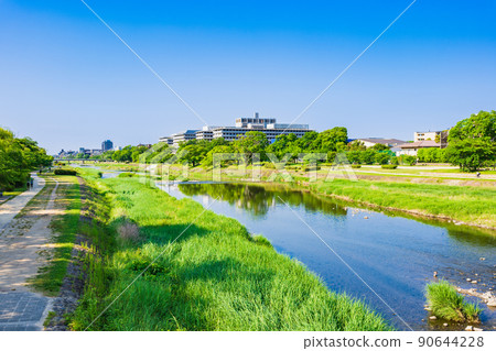 Kyoto Fresh green Kamo River (near Kamo Bridge) 90644228