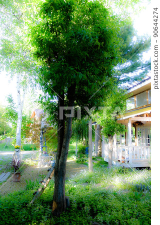 Spring letter from Rokugo in the north 90644274