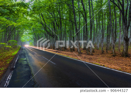 [青森縣]八甲田/十和田金線山毛櫸高速公路 90644327