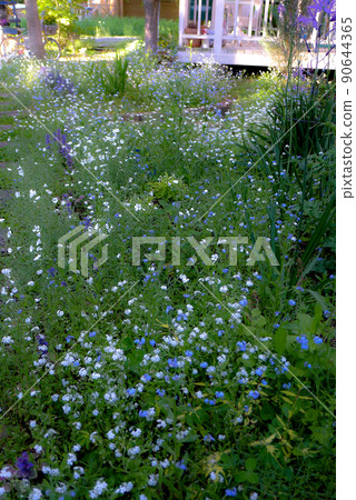 Spring letter from Rokugo in the north 90644365