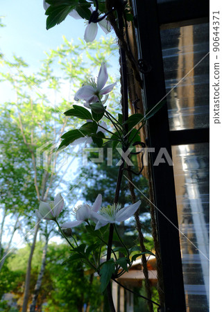 Spring letter from Rokugo in the north 90644371