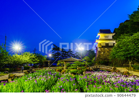 Iris lit up in Omura Park [Omura City, Nagasaki Prefecture] 90644479