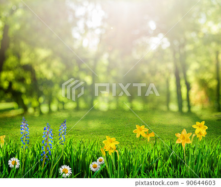 spring background with flowers spring background with flowers 90644603
