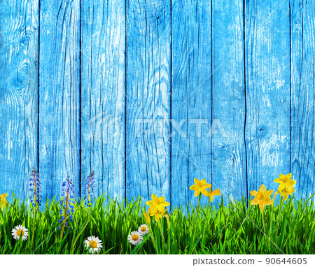 spring background with flowers and wooden pickets 90644605