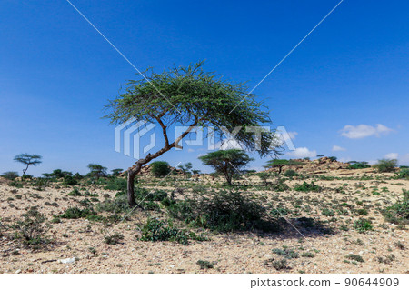 Panoramic View to the Las Geel Valley, Somaliland Panoramic View to the Las Geel Valley, Somaliland 90644909