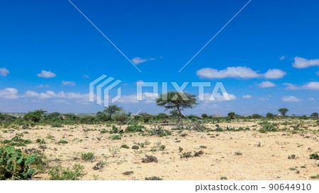 Panoramic View to the Las Geel Valley, Somaliland Panoramic View to the Las Geel Valley, Somaliland 90644910