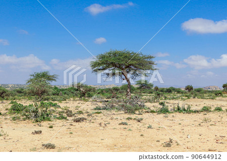 Panoramic View to the Las Geel Valley, Somaliland Panoramic View to the Las Geel Valley, Somaliland 90644912