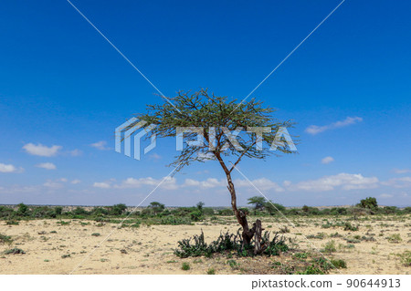 Panoramic View to the Las Geel Valley, Somaliland Panoramic View to the Las Geel Valley, Somaliland 90644913