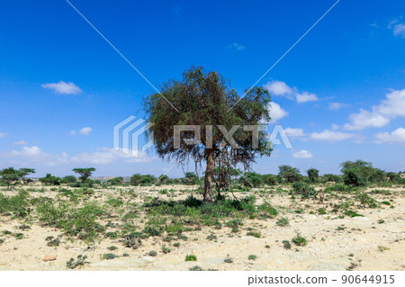 Panoramic View to the Las Geel Valley, Somaliland Panoramic View to the Las Geel Valley, Somaliland 90644915