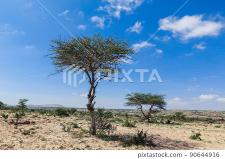 Panoramic View to the Las Geel Valley, Somaliland Panoramic View to the Las Geel Valley, Somaliland 90644916